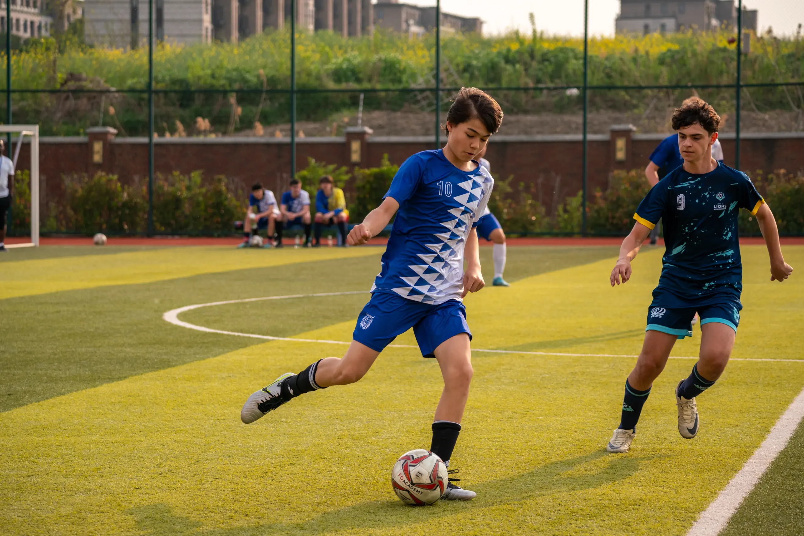 Sports Fields