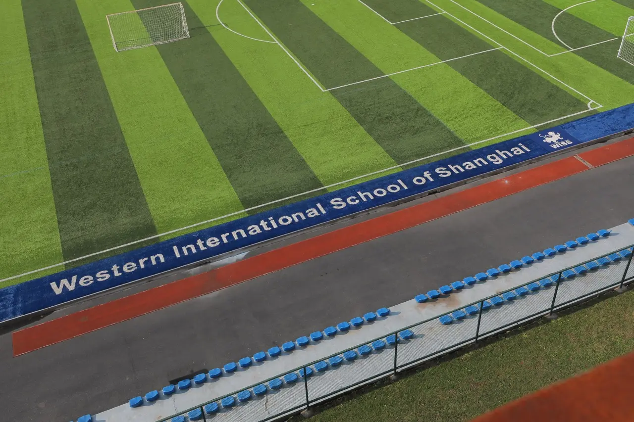 Full-size pitch — home of the Tigers